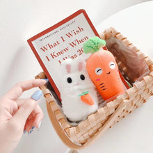 Load image into Gallery viewer, Airpods Case Plush Teddy